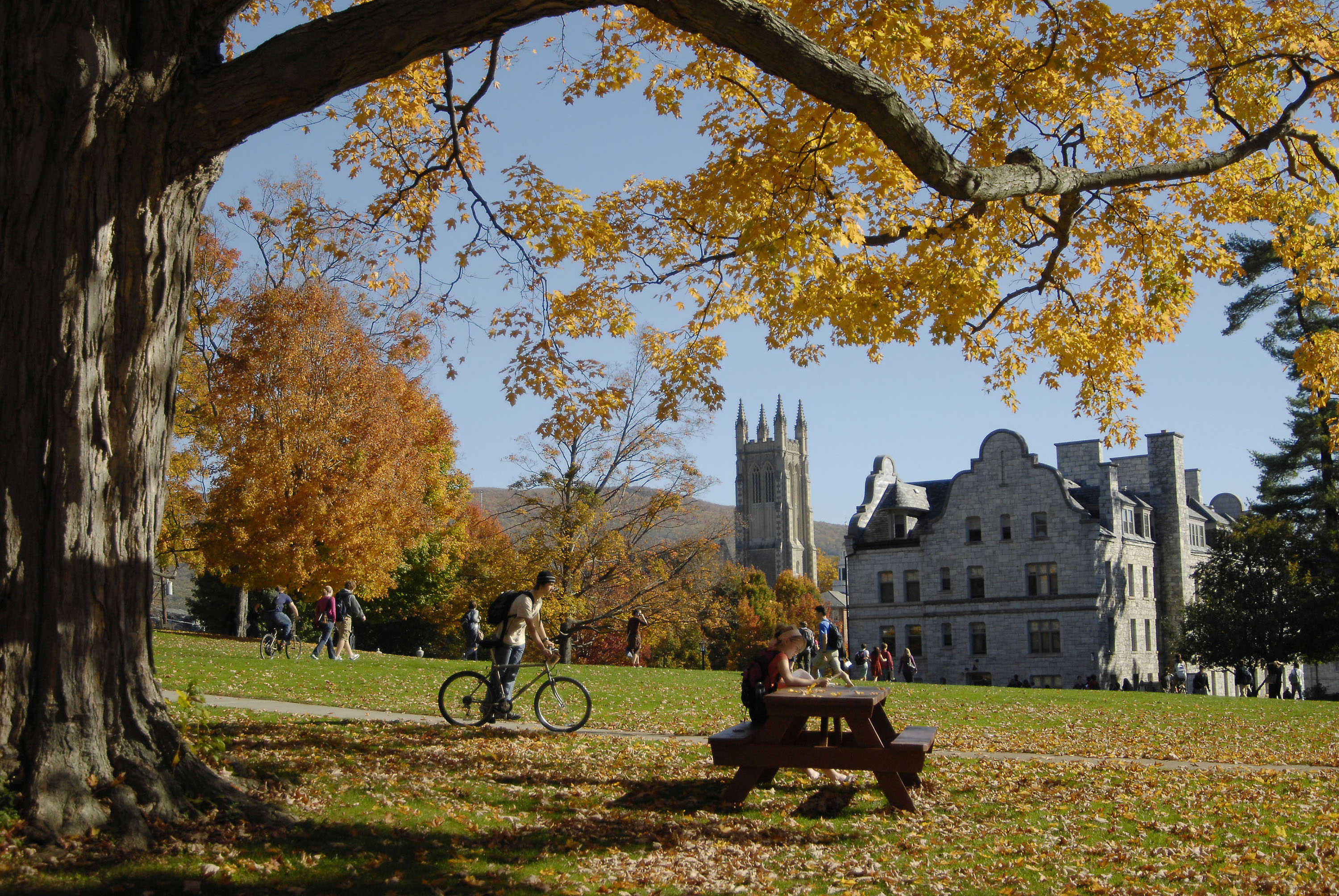 williams college